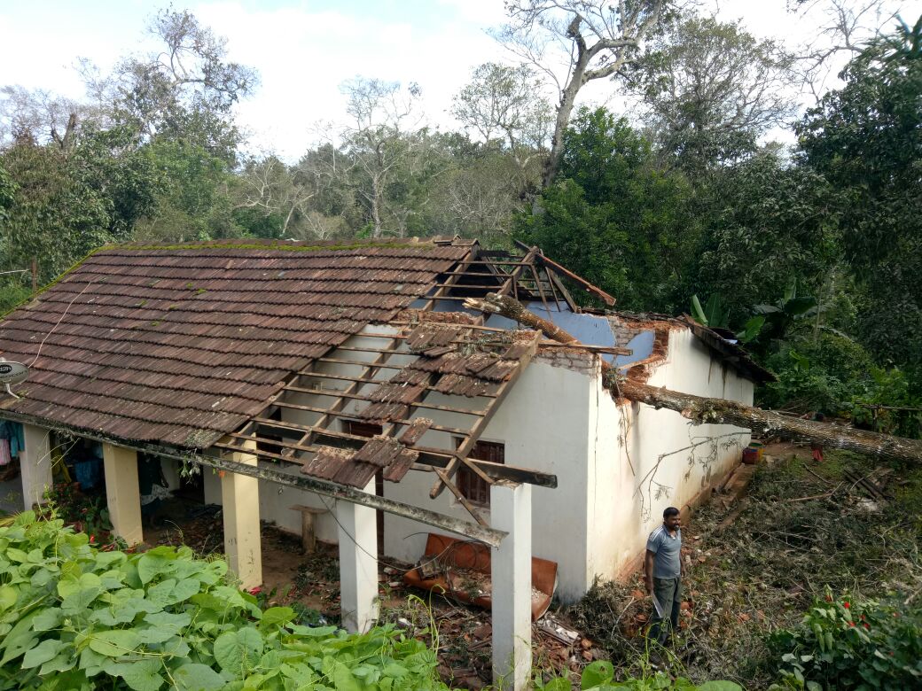 ಗಾಳಿಗೆ ಉರುಳಿದ ಮರ, ಮನೆ ಜಖಂ